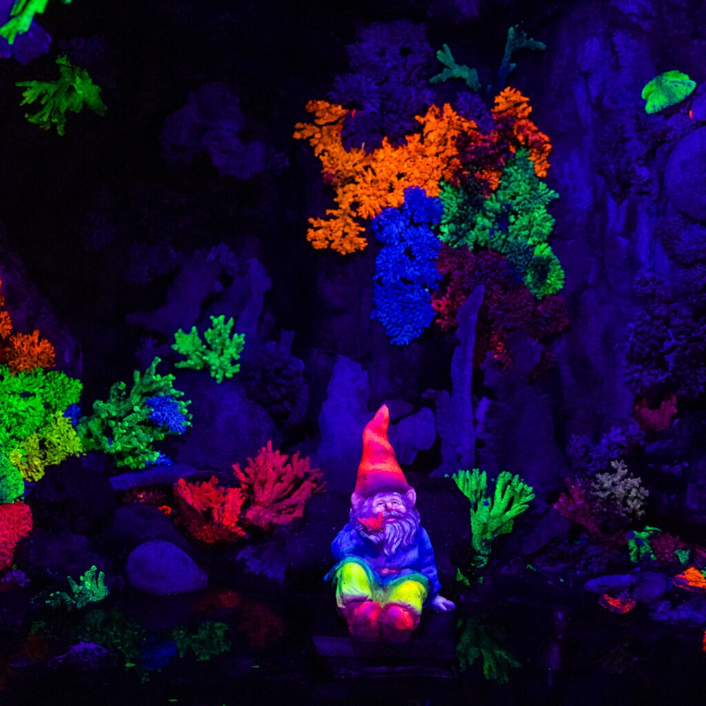 Whimsical scenes in Fairyland Caverns, a highlight of kid-friendly hiking trails with views in Chattanooga.