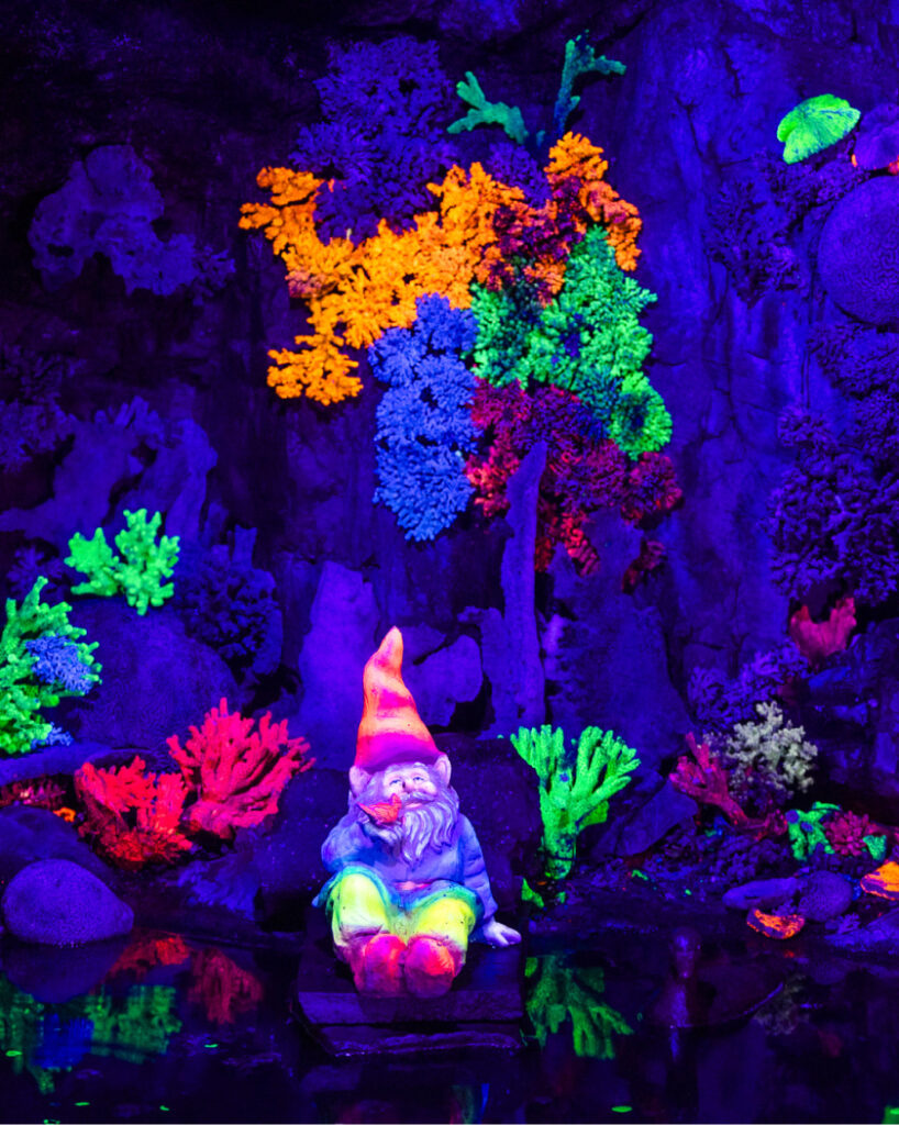 Whimsical scenes in Fairyland Caverns, a highlight of kid-friendly hiking trails with views in Chattanooga.