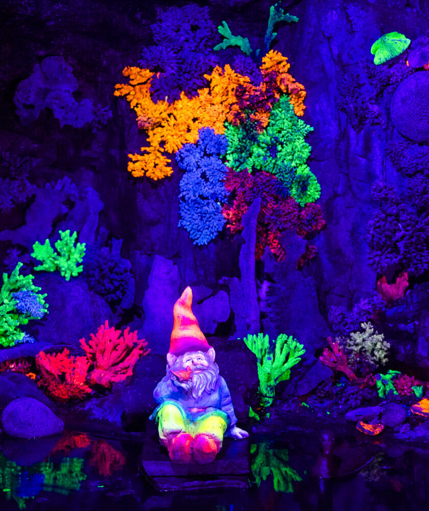 Whimsical scenes in Fairyland Caverns, a highlight of kid-friendly hiking trails with views in Chattanooga.