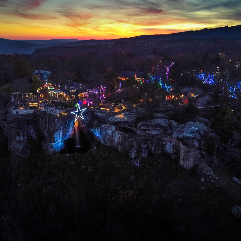 Twinkling holiday displays at the Enchanted Garden of Lights, a premier Chattanooga christmas event.