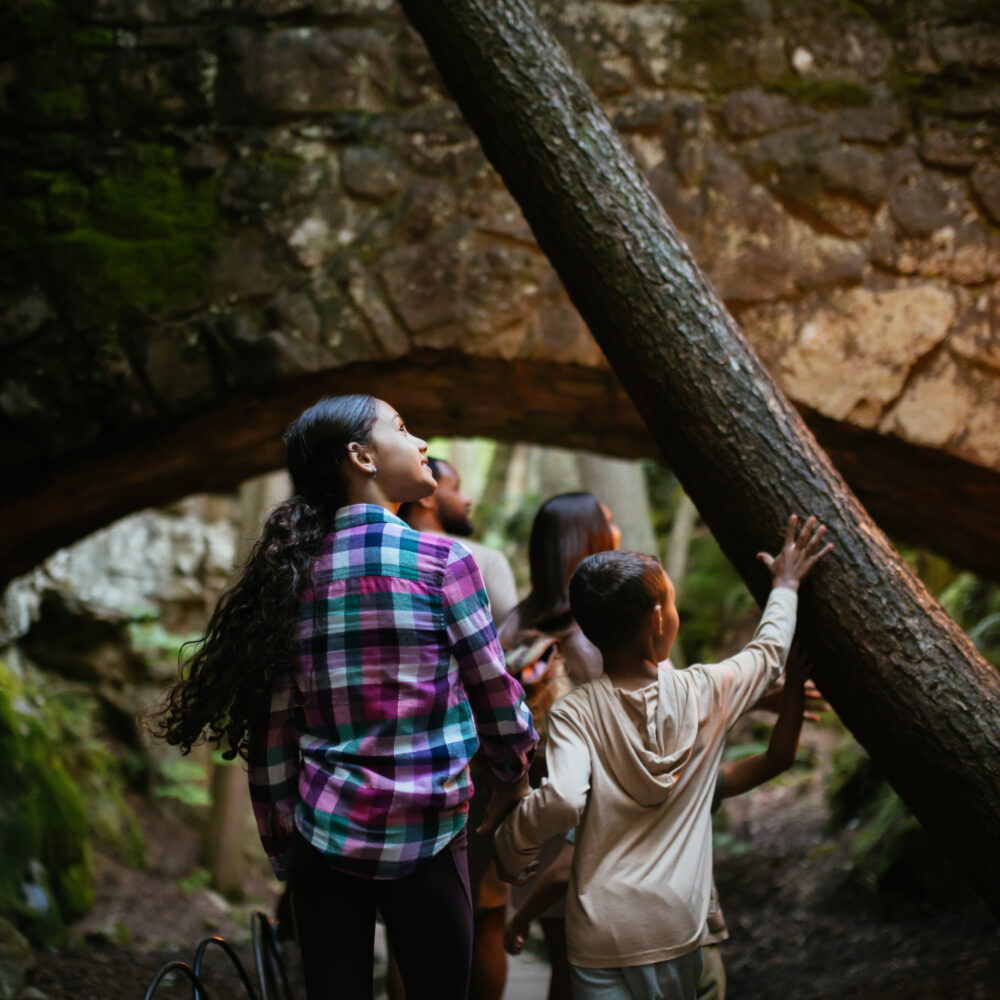 Kids enjoying a trail at night at Rock City.