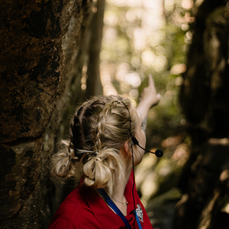Employee leading guided tour at Rock City.