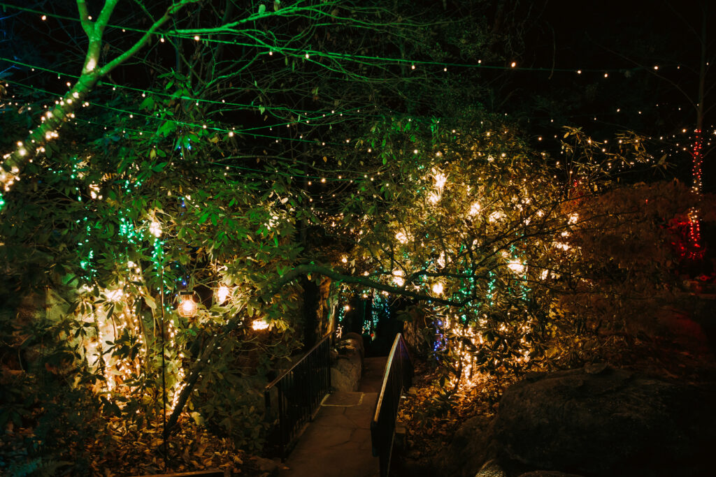 Enchanted Garden of Lights: Afterglow - Rock City
