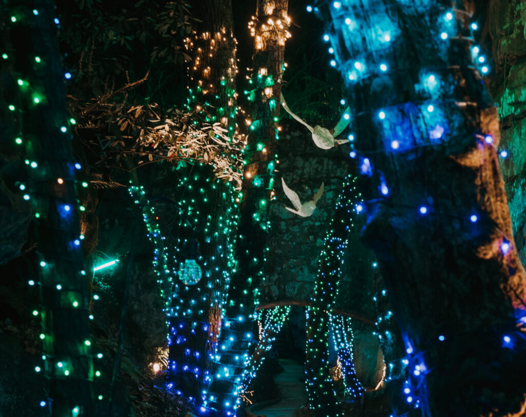 Lighted Trees at Rock City Enchanted Garden of Lights.