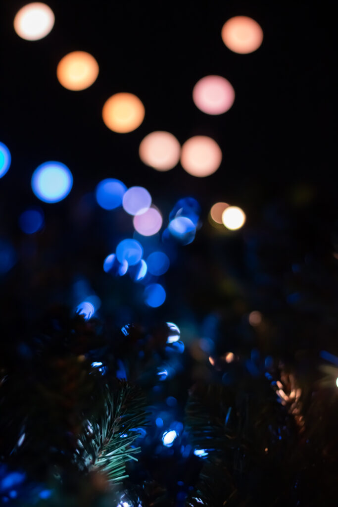 Trail at Rock City during the Enchanted Garden of Lights event.