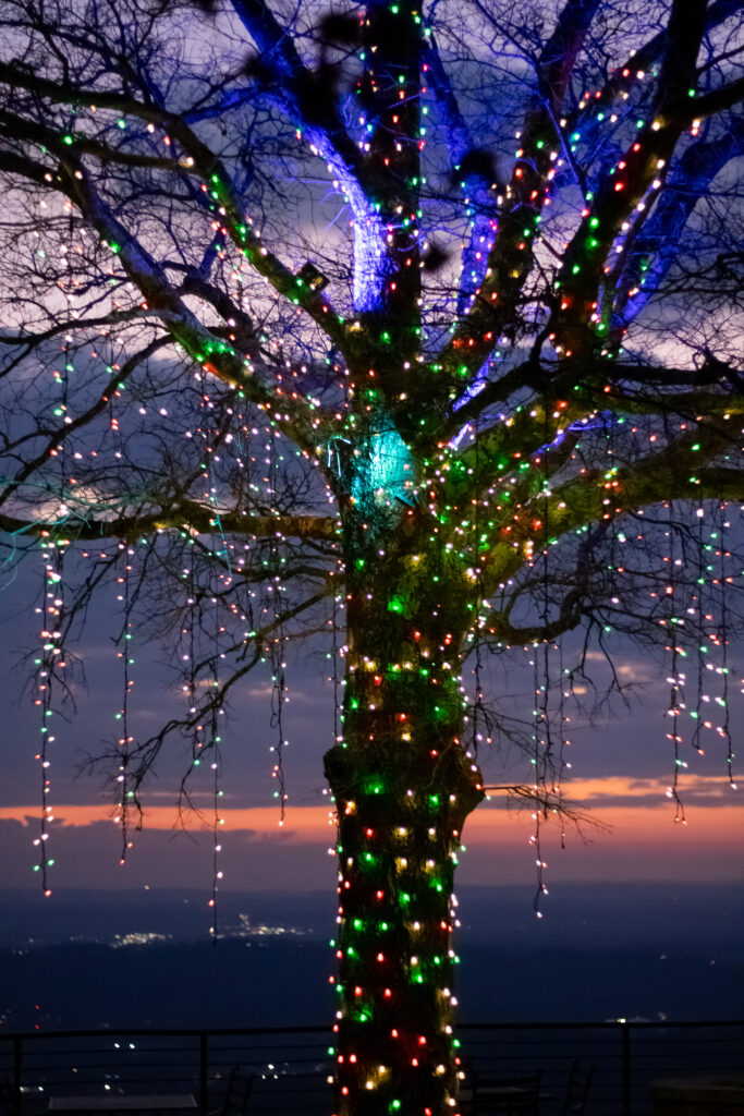 Tree at Rock City during the Enchanted Garden of Lights event.