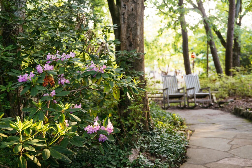 Doug Chapin: A letter to my Lookout Mountain neighbors
