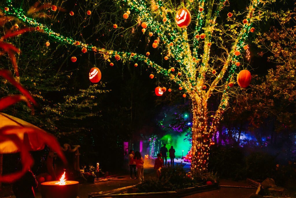 The Enchanted Pumpkin Patch returns glowing and growing